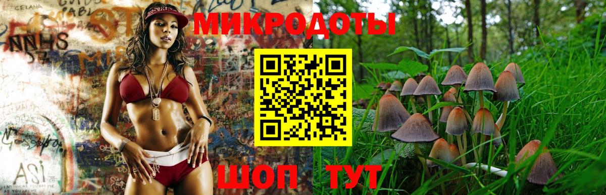 Псилоцибиновые грибы GOLDEN TEACHER Нарткала