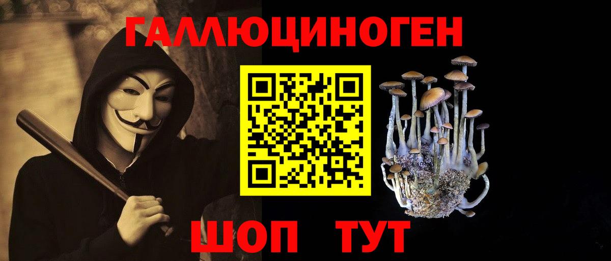 Нарткала  Псилоцибиновые грибы мицелий  Псилоцибиновые грибы прущие грибы  Вход с VPN 